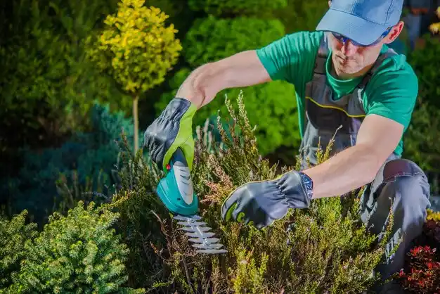 landscaping services Baldwin